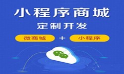 微信小程序开发、商城小程序开发功能-MK官网-MK（中国）一站式服务官网软件开发